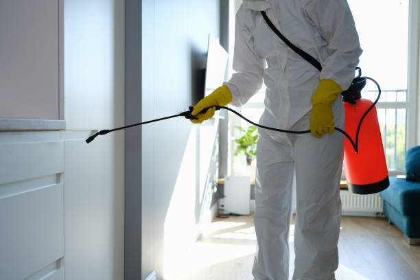 Best Office Mold Removal Services  in Scappoose, OR