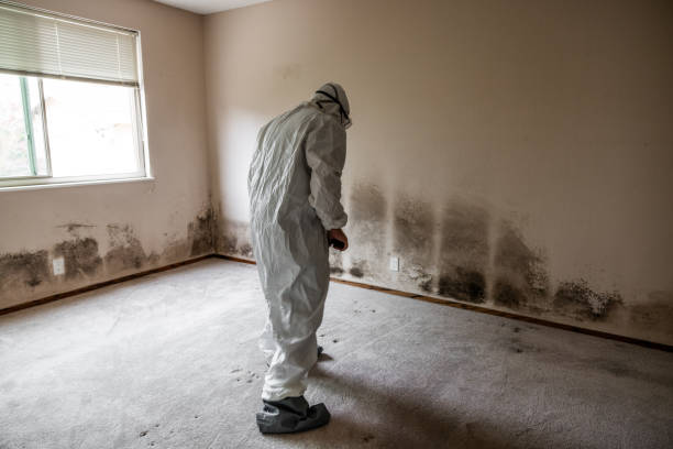 Best Residential Mold Removal  in Scappoose, OR